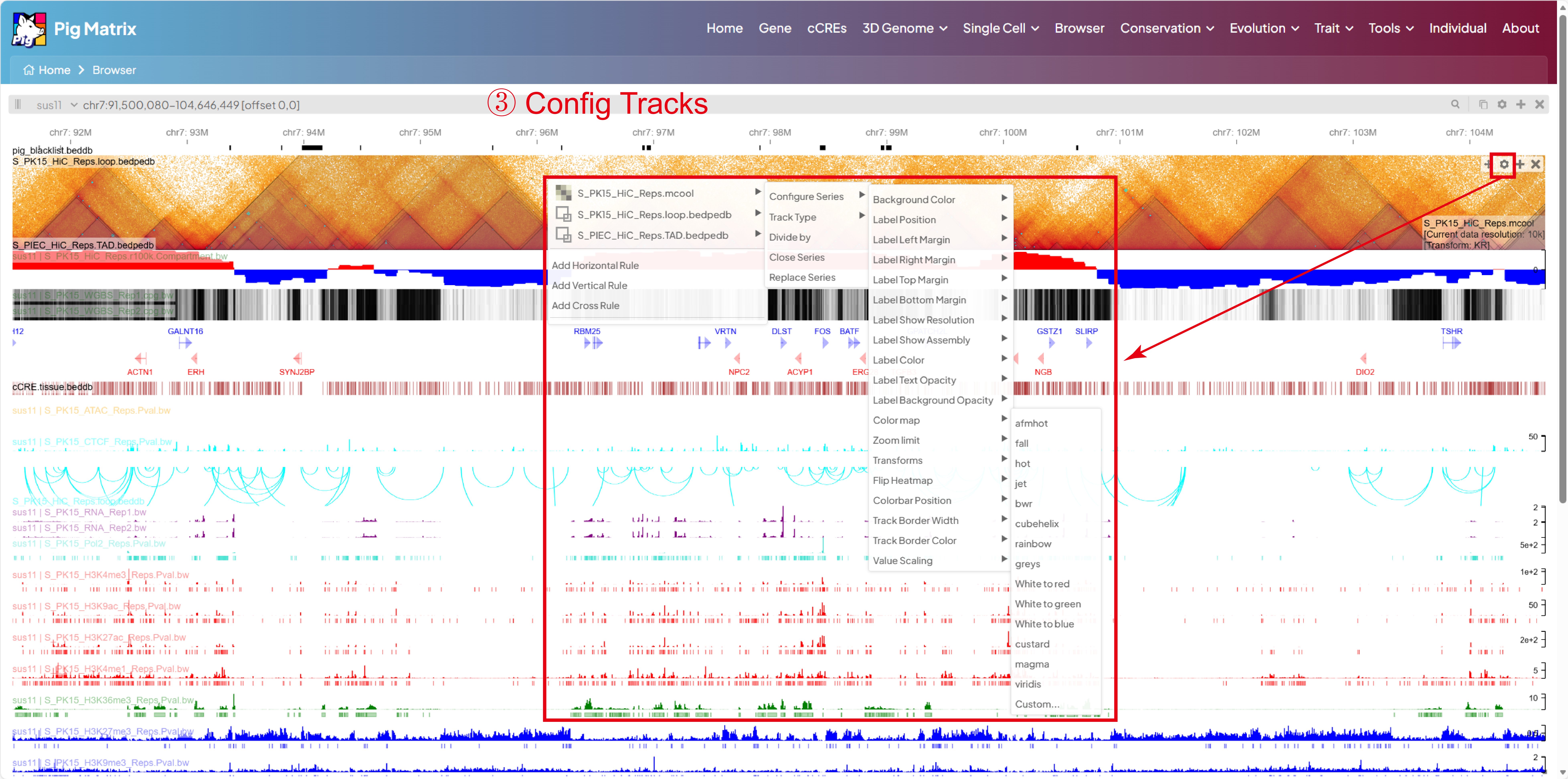 Gene Browser - Pig Matrix